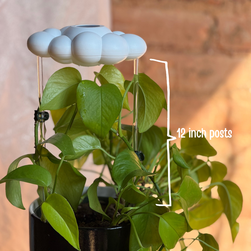 Dripping Rain Cloud Plant Waterer