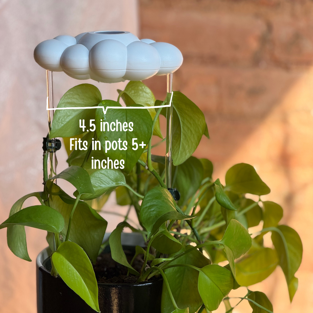Dripping Rain Cloud Plant Waterer