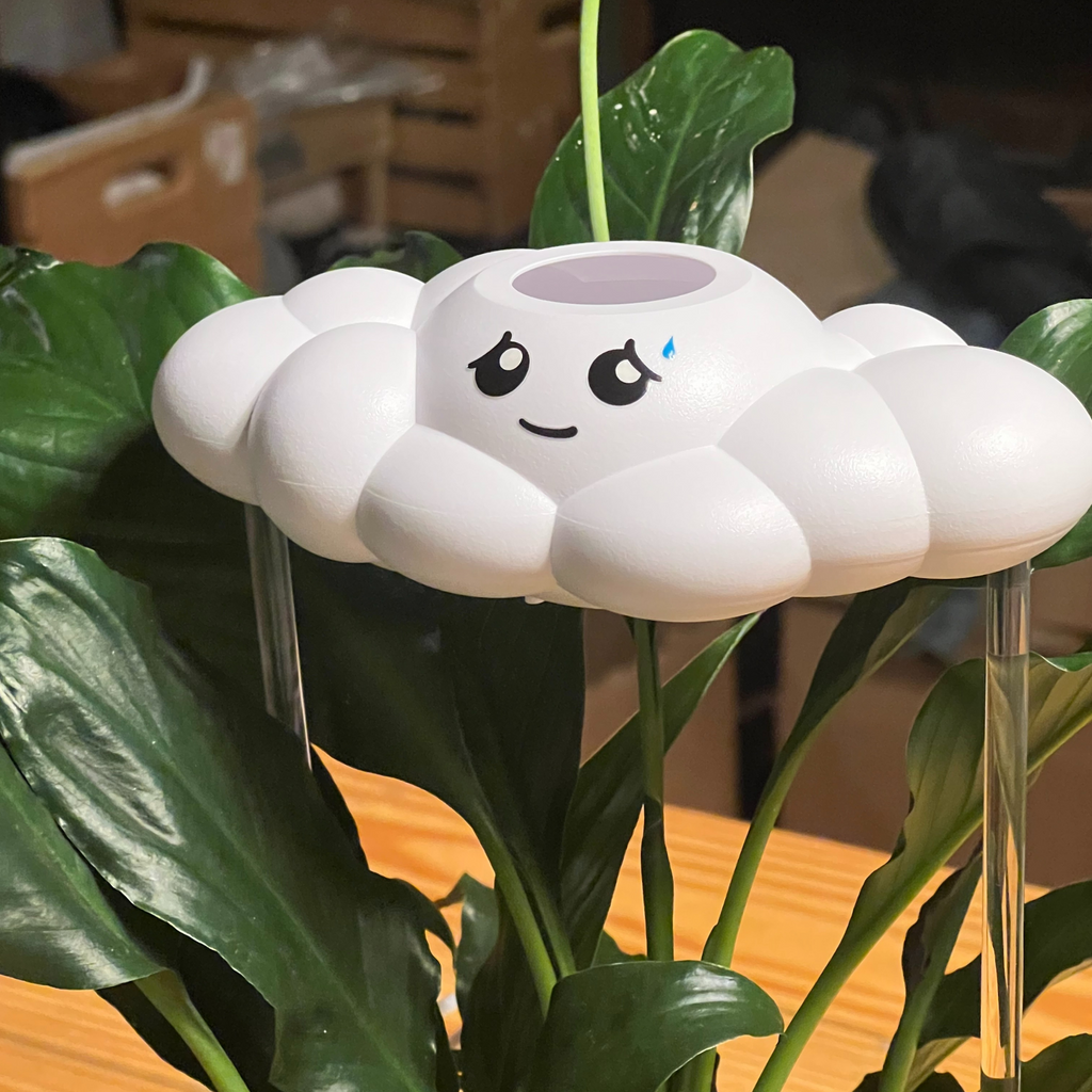 Cory the Cloud