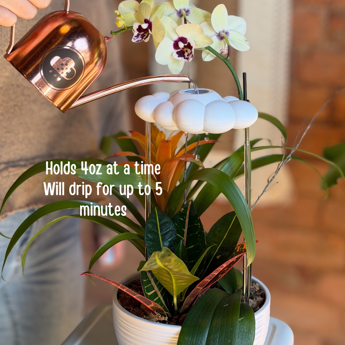 Dripping Rain Cloud Plant Waterer
