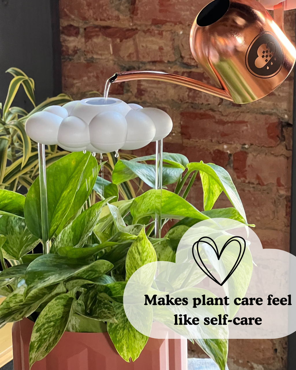 Dripping Rain Cloud Plant Waterer