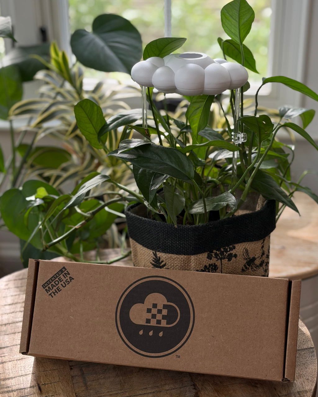 Dripping Rain Cloud Plant Waterer
