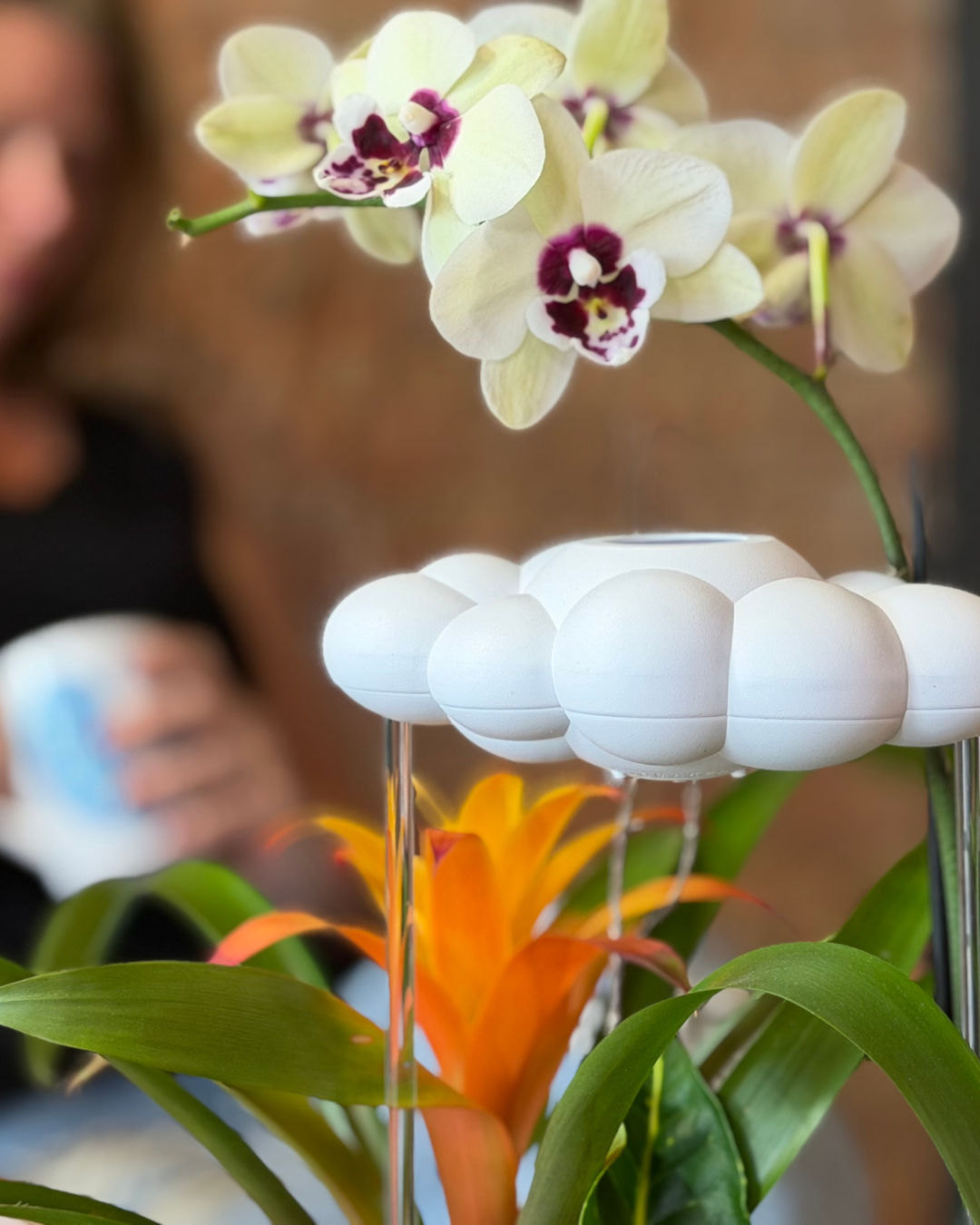 Dripping Rain Cloud Plant Waterer