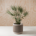Weave Planter
