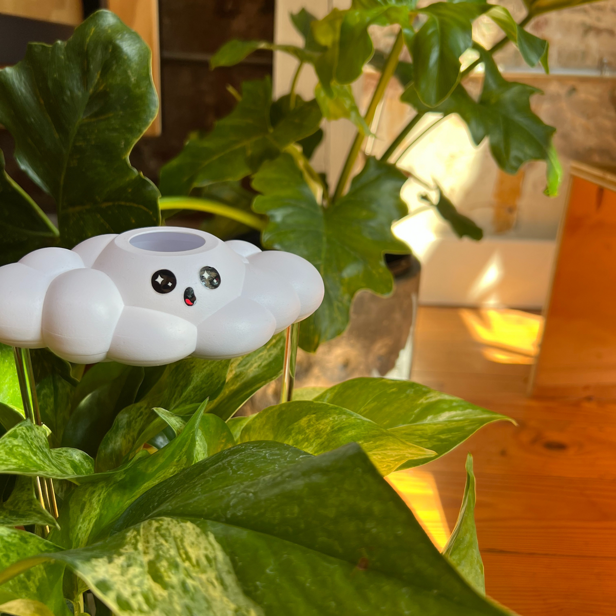 Cosmo the Cloud