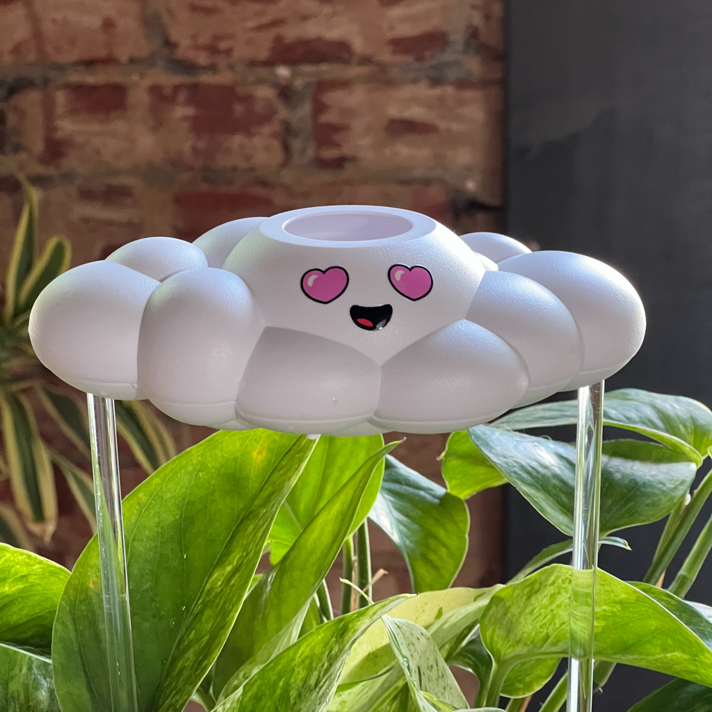 Chloe the Cloud