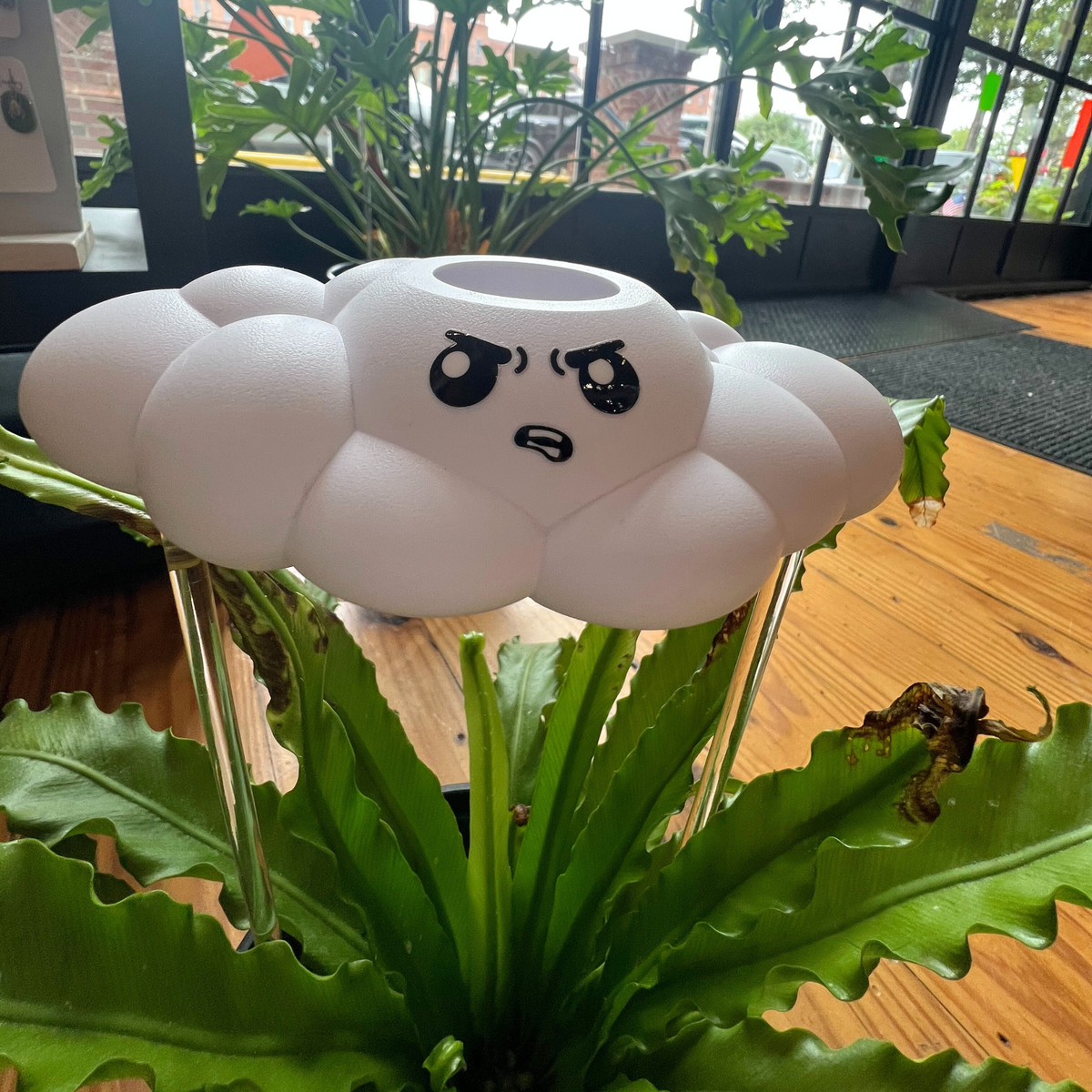 Cliff the Cloud