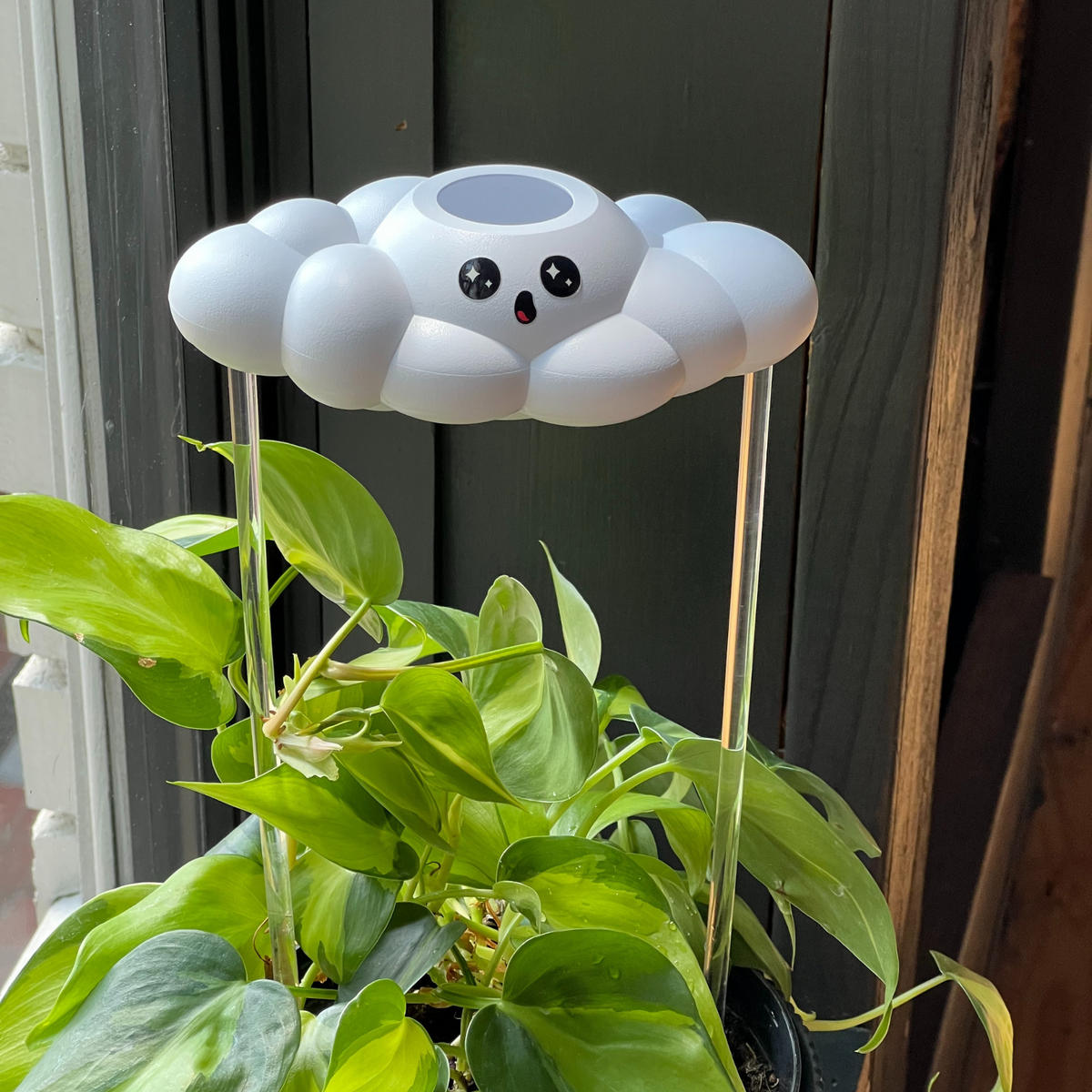 Cosmo the Cloud