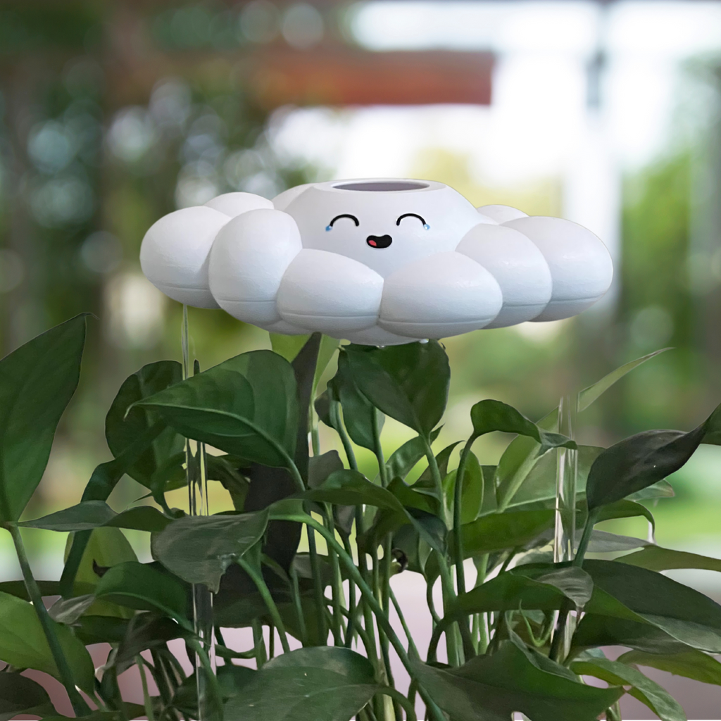 Misty the Cloud