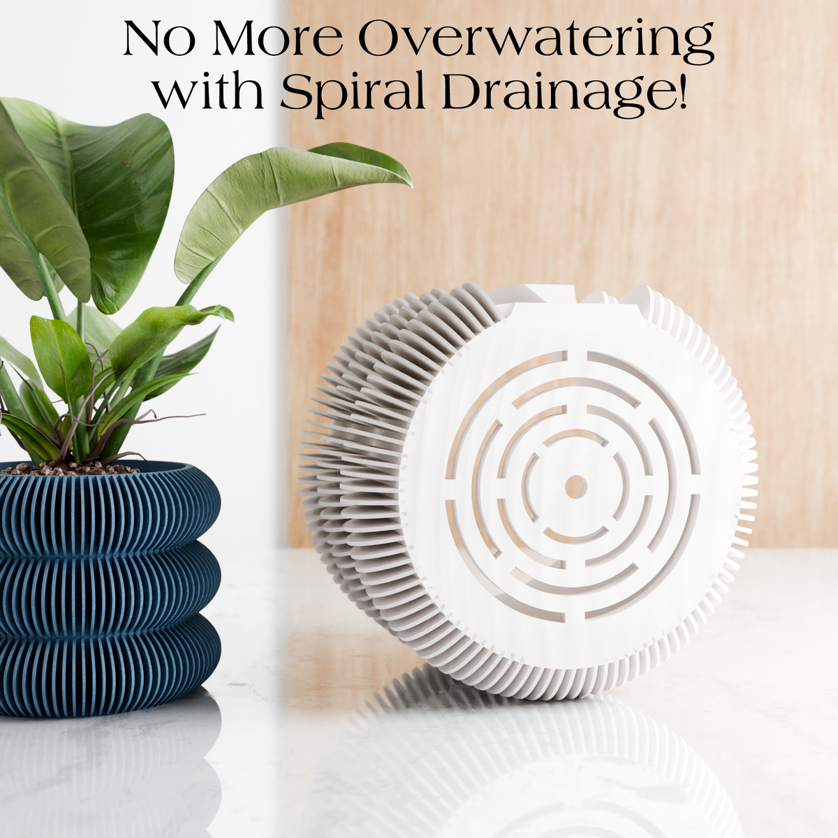 Triple Bubble Wall Planter | Modern Hanging Planter
