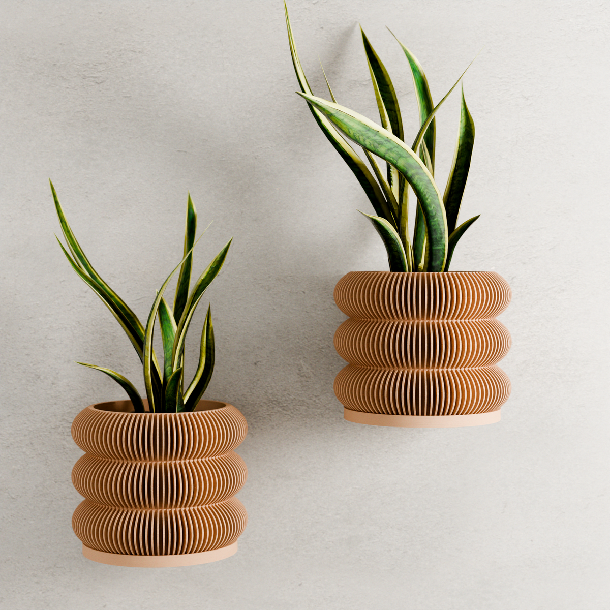 Triple Bubble Wall Planter | Modern Hanging Planter