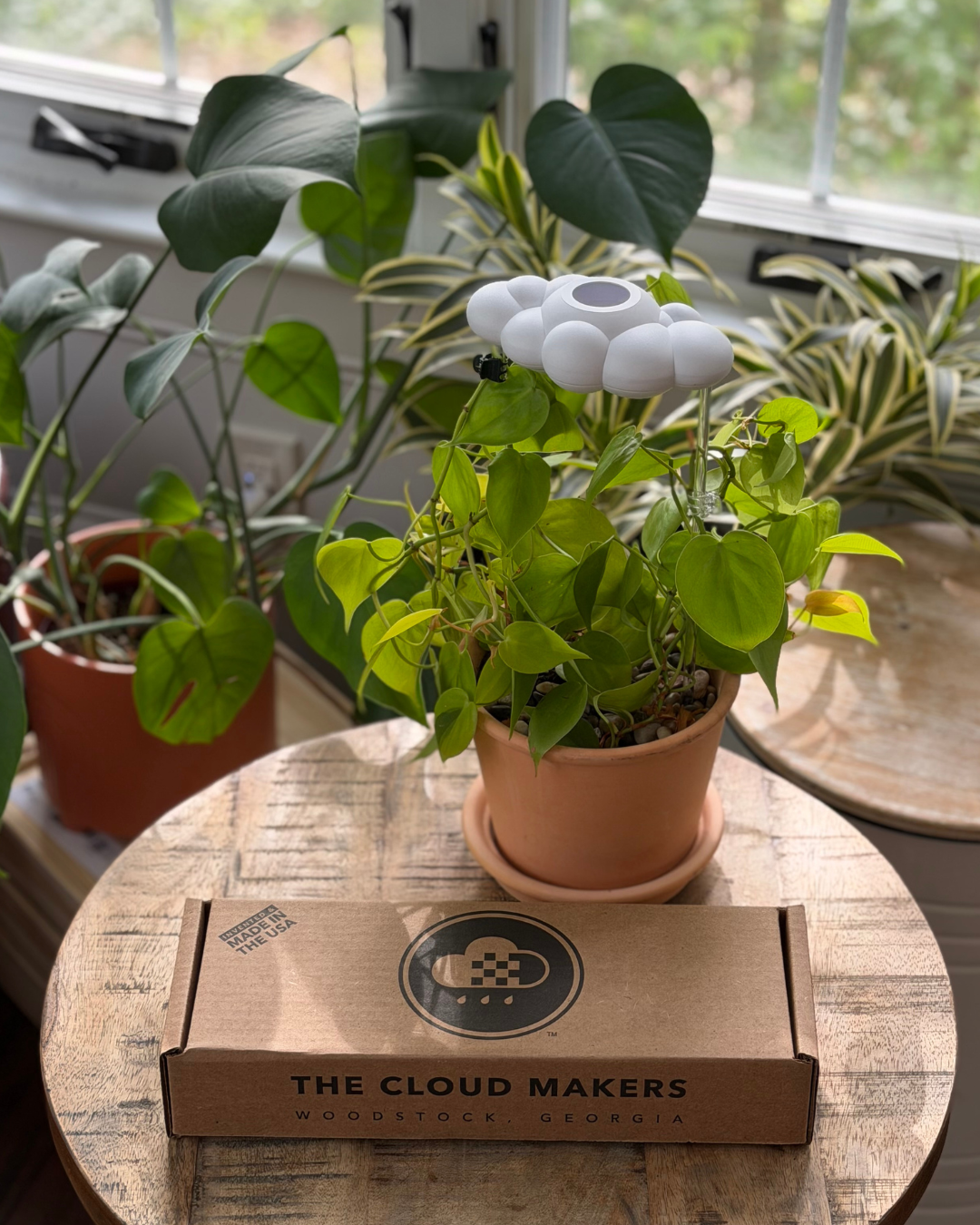 Dripping Rain Cloud Plant Waterer