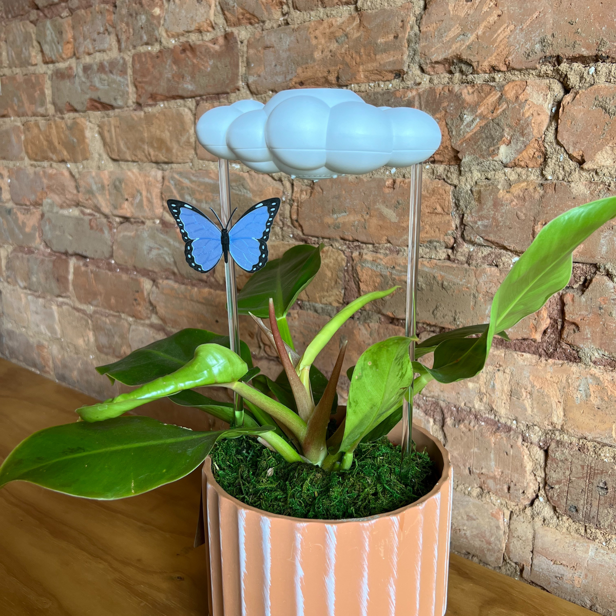 Original Dripping Rain Cloud with Blue Butterfly Charm