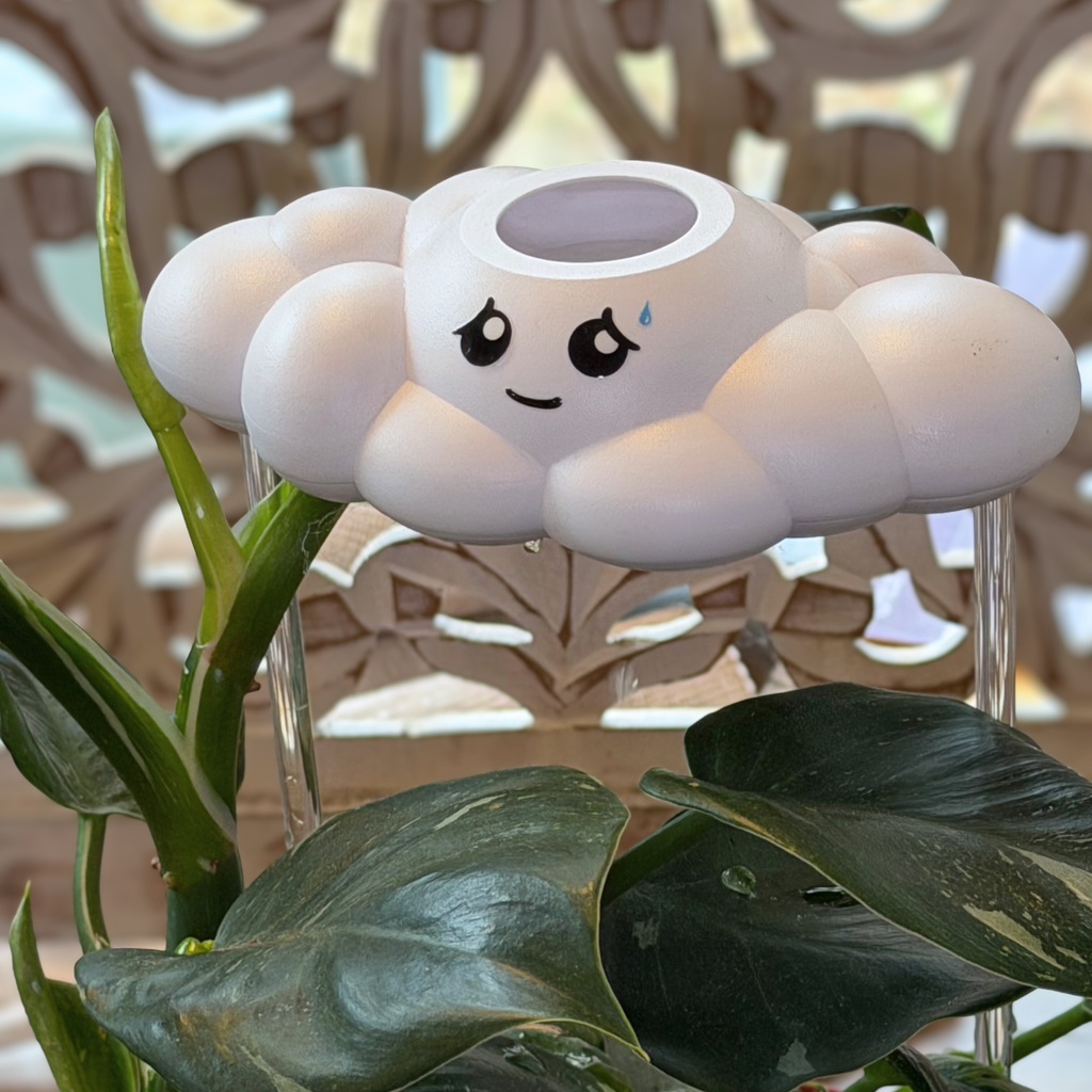 Cory the Cloud