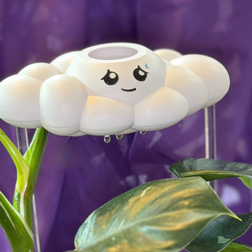 Cory the Cloud