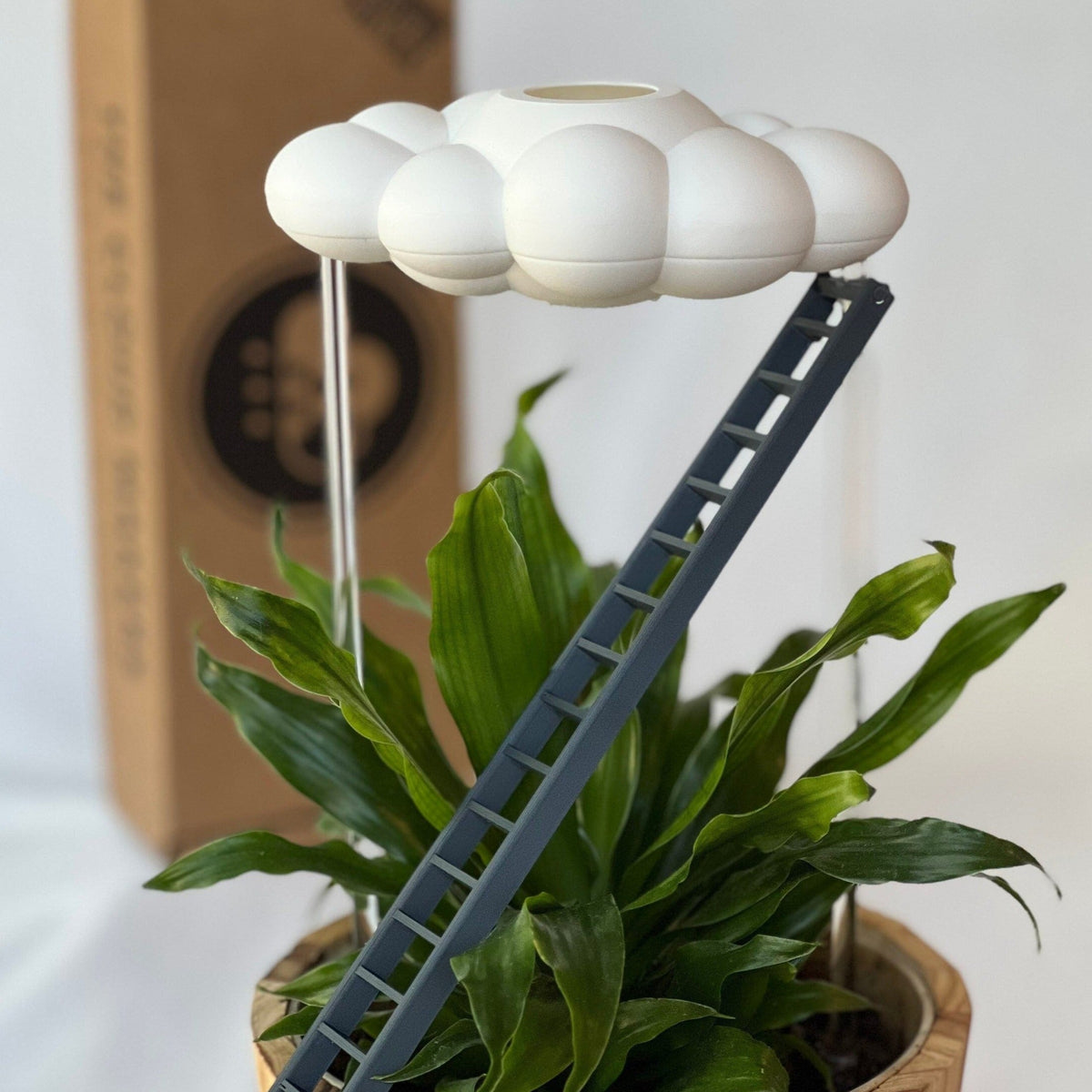 Original Dripping Rain Cloud with Ladder Charm